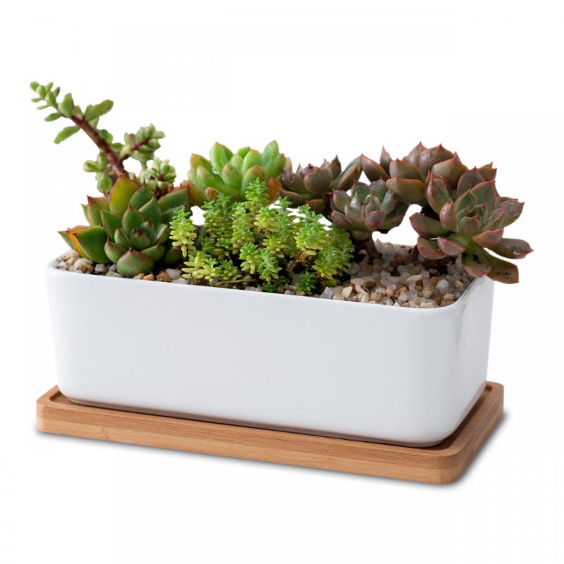 White Ceramic Rectangular Pot for Succulent Plants with Bamboo Tray